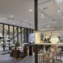 우리분재 | [아틀리에 애채 팝업]분재 키우기 / 청짜보 분재 / 왜철쭉 분재 내돈내산 후기