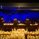 담빛시네콘서트 이미지