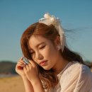 위플레이
