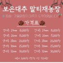 보은대추말티재농장