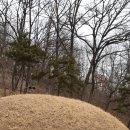 경순왕릉 이미지