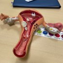 서울산부인과 | [자궁근종] 서울 순천향대병원 산부인과 외래 진료 후기 (이정재 교수님) 주차정보