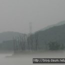 나란히 흐르다 이미지