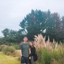곤양 | 태안 아이와 함께 가볼만한 카페 추천 카페산후리 방문 리얼 후기
