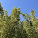 사자산달바위집 | 강원도 삼척 그림책나라 이사부사자공원 물썰매장