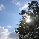 세안농장 이미지