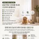 GS25 도안10단지점 | 대전 도안동 도안린풀하우스 18단지 커튼·블라인드 시공 후기 │ 신혼부부 이사, 반려견과 함께하는 집...