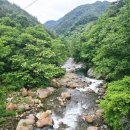 삼당천 이미지