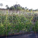 두름농장 이미지