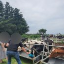 송아지다방 - 미추홀구 | 송아지다방