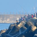 강태공낚시 이미지