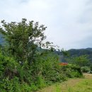 담안에 농원 네이버블로그