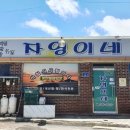 자영이네 이미지