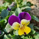 선들농장 이미지