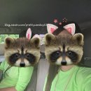 플랙스호텔 | 마나가하섬 / 왕복 스피드보트 / 물놀이 / 켄싱턴호텔 런치 투고 박스 / 샌드위치 / 치킨 /샐러드 / 남...