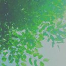 다정한오후 이미지