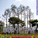 부산시민공원 뽀로로도서관 이미지