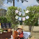 해바라기재능유치원 이미지