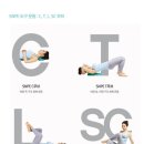 바른자세척추운동(SNPE)1 이미지