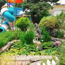 신비유치원 이미지