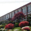 생영초등학교 이미지