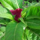 (주)비앤비코리아 이미지