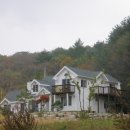 꽃별하얀 이미지