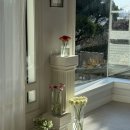 키노  스튜디오 이미지