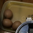 천지연보석불가마사우나 이미지