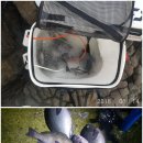 모두피싱샵