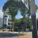 부림동주민센터 이미지