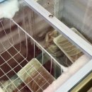 건우네얇은피만두 - 안산시 상록구 장화2길 24 | 건우네얇은피만두