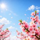 EL DORADO | [푸에기아 1833] '두라즈노' ─ 미리 만나본 신상 복숭아 향수 솔직 후기🍑🌸