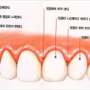 씨앤케이치과의원 이미지