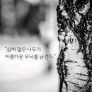 J&J 이미지
