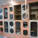 안암동물병원 이미지