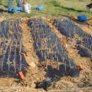 동만목장 이미지