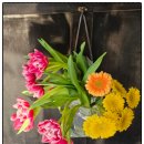 장구교실 | 용인과일맛집 토박이마켓✨ 생화와 함께 담긴 과일선물박스 후기