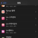 재난문자 이미지