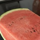 맛쟁이상회