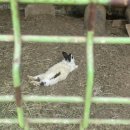 근화목장 이미지