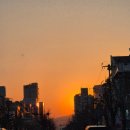 1순환로(3-179) 이미지