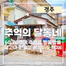 경주제과교실 | 경주 관광지 추억의 달동네 60년대 추억여행 포토존으로 추천