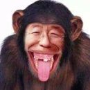 하늘식당 Daum카페