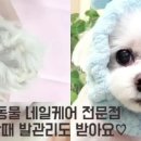 발밤네일