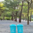 청산 캠프 이미지