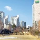 용산-현장-84 이미지