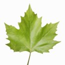 생활 속미술놀이 이미지