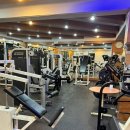 휴먼메디텍 | 신촌헬스장 기구맛집 가성비 최고 제이씨 헬스클럽