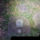 천등산철쭉공원 이미지